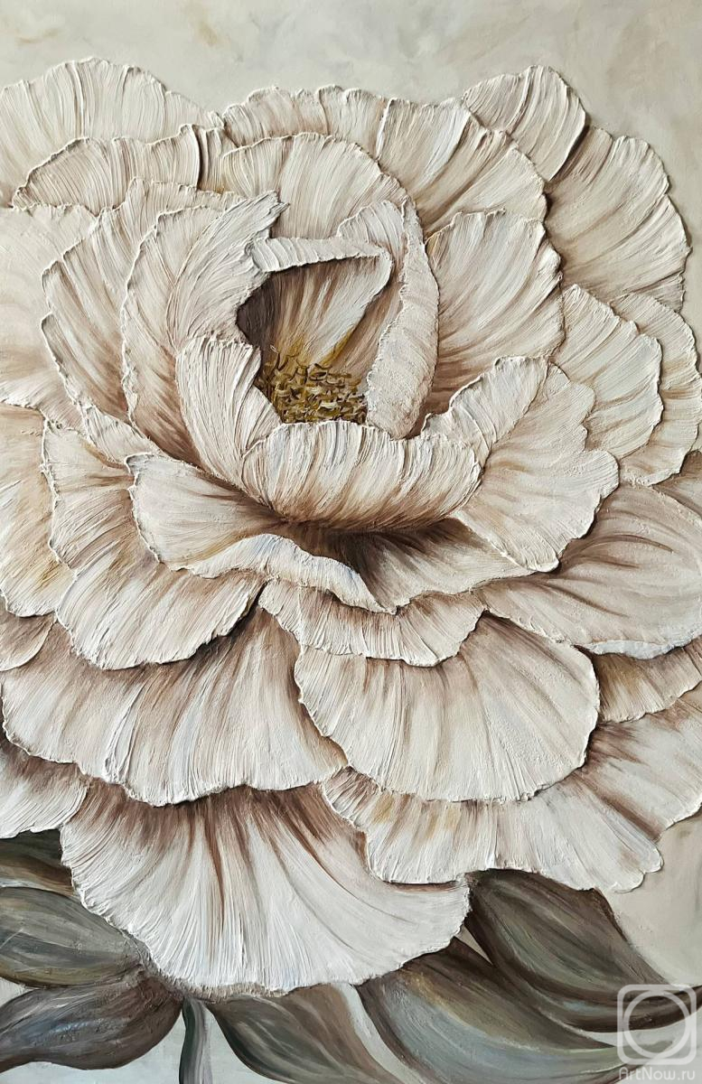 �������. �������� �����. ���������