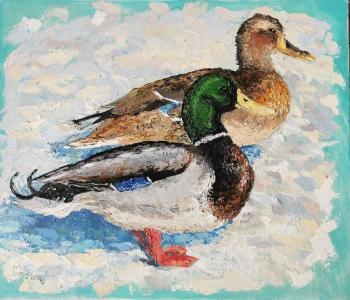 ��������� ���� . ���� �� �����