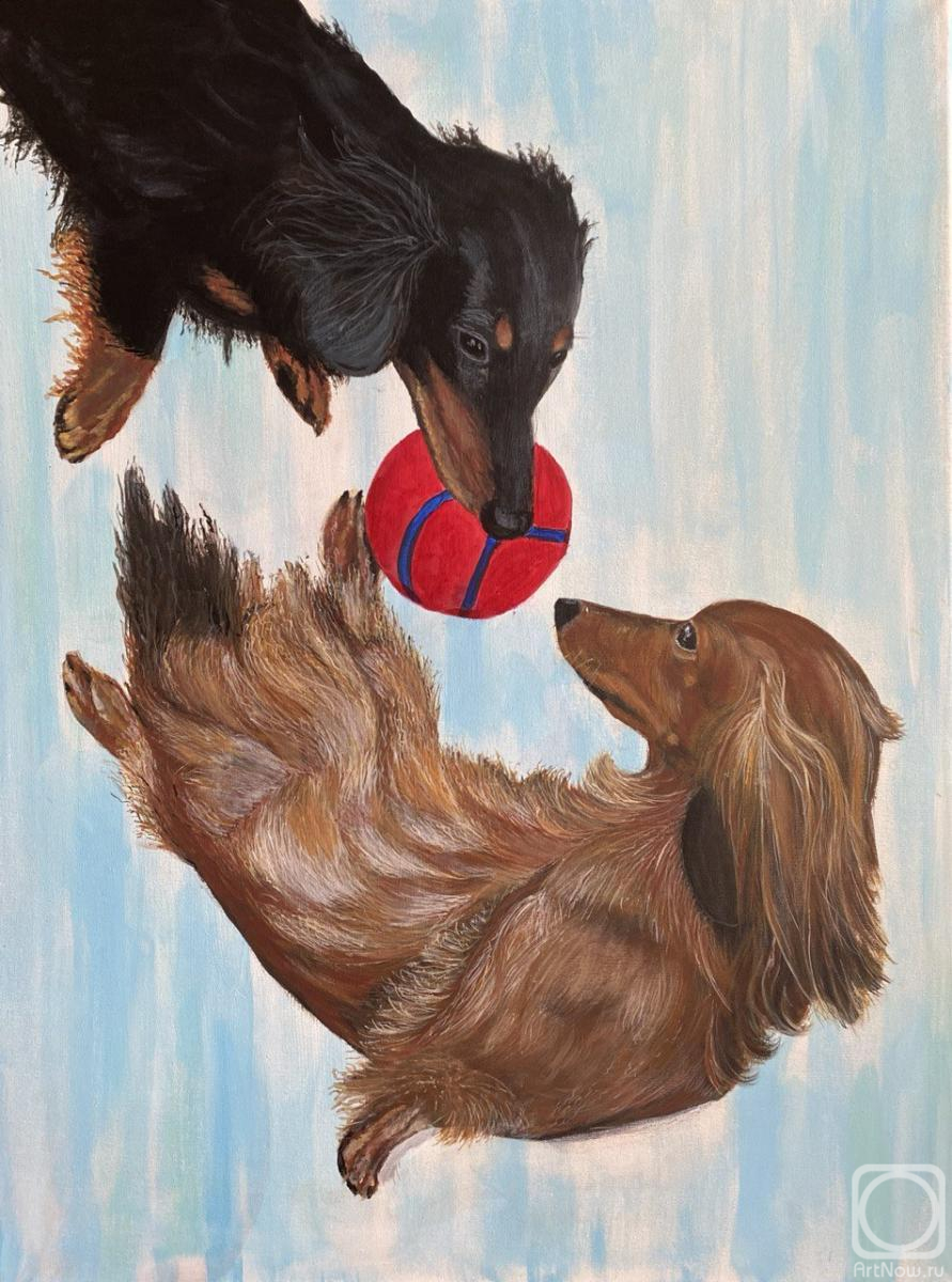 Shuvalova Nataliya. Playful Dachshund Duo