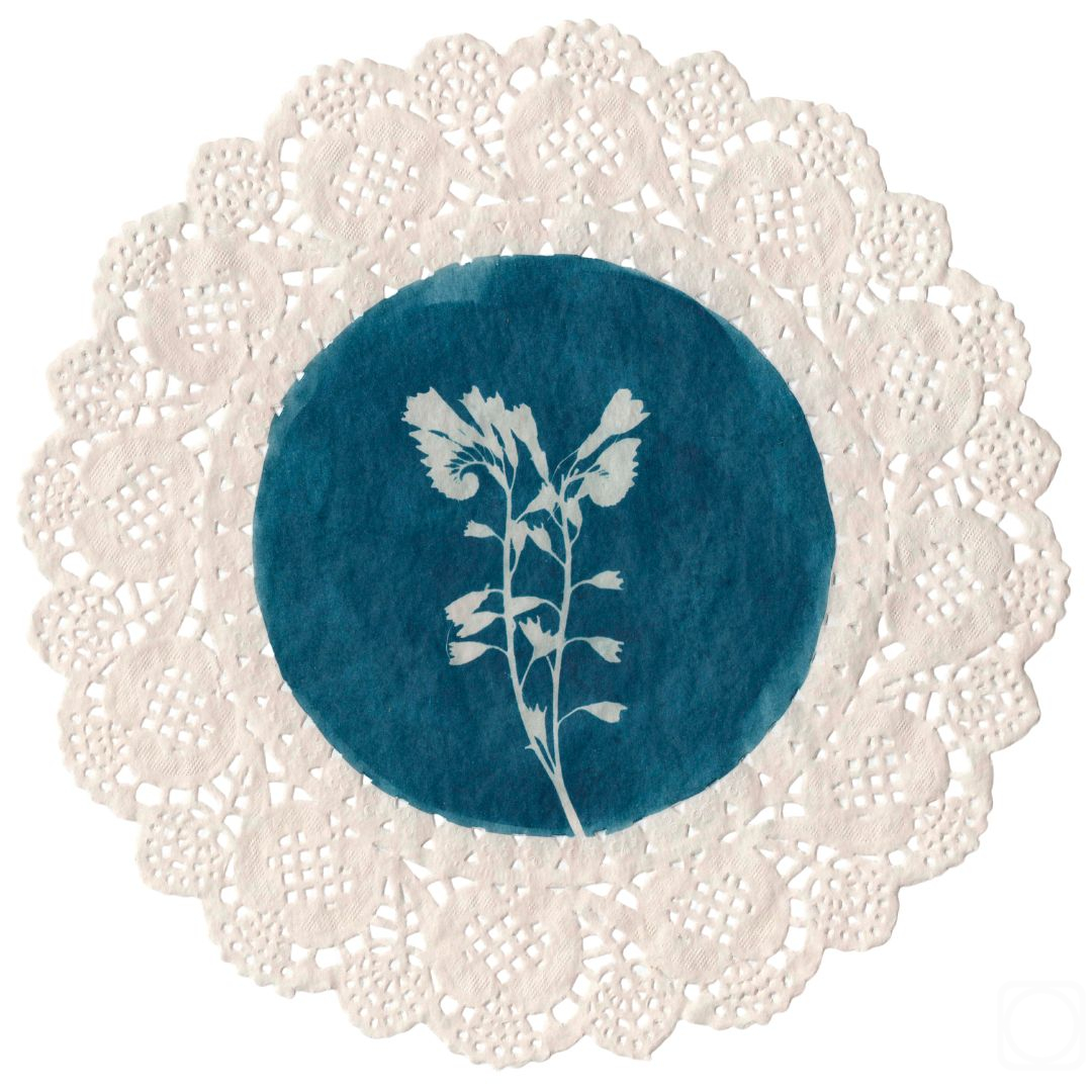 Rahmatullaeva Leyla. No. 2: Gentle stem