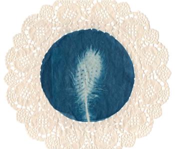 No. 1: Feathered Bloom. Rahmatullaeva Leyla