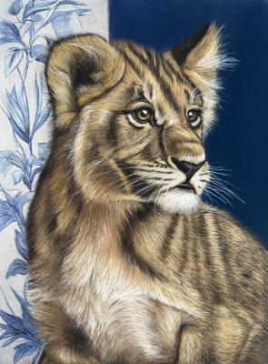 Young Lion (Wildlife Art). Malyutina Yuliya