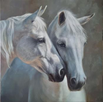 ����. ��������� ����