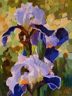 ������� �����