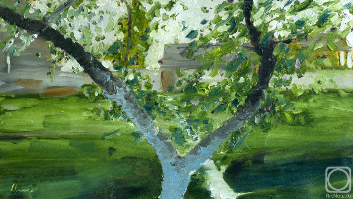 ������� ������ �� ������. ������� �����. � ����