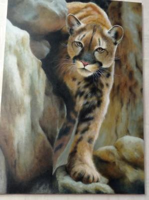 ���� � �����. �������� �������