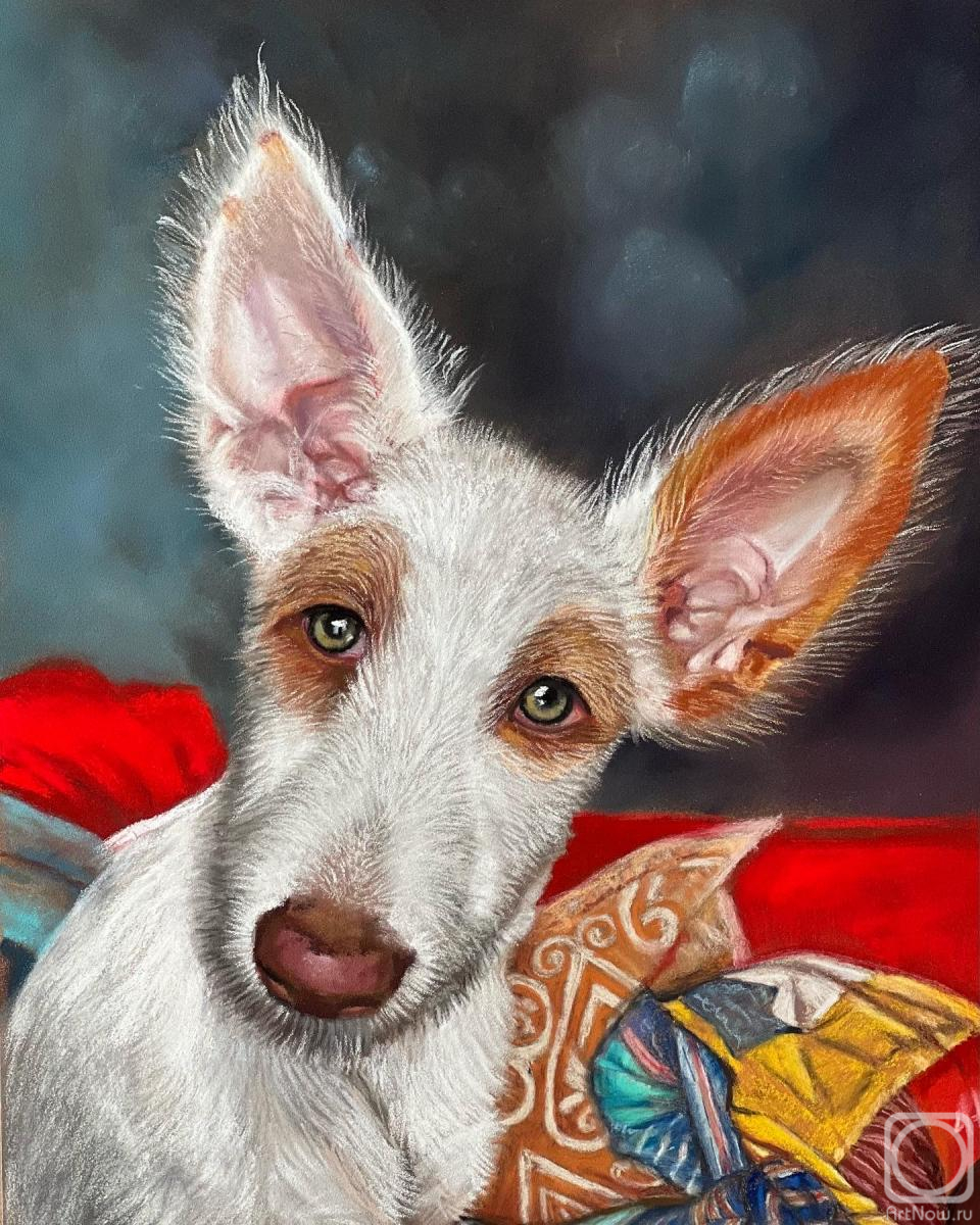 �������. �������� ����. ������������ ���