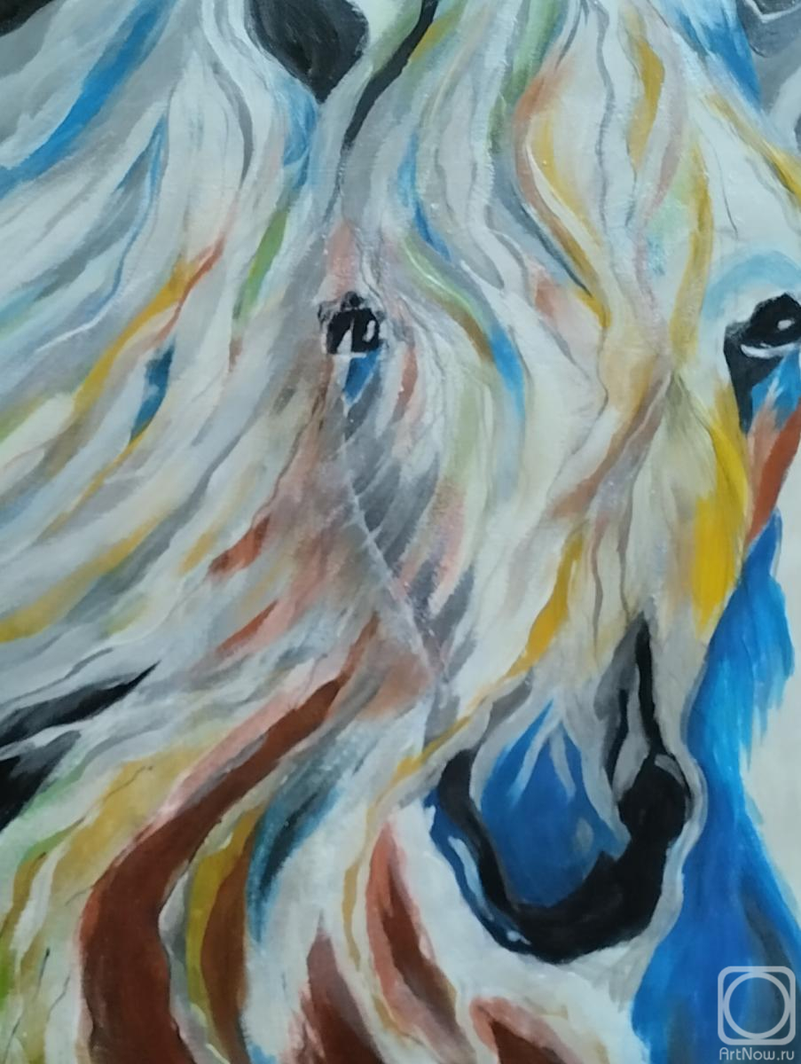 �������. �������� ������. ������ 2026 ����