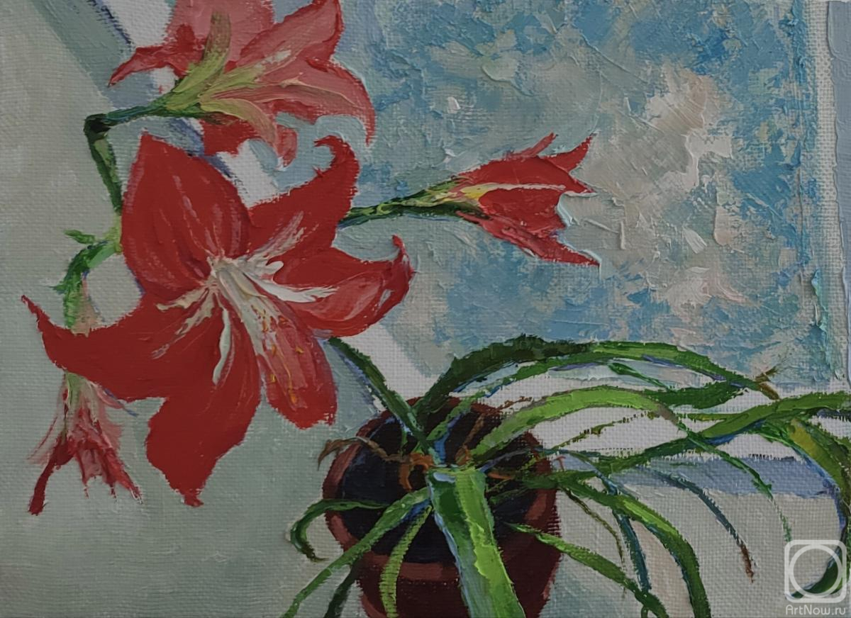 ������� ������ �� ������. ���������� �������. � � ������� �� �����