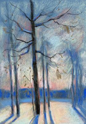 January Nocturne. Knecht Aleksander