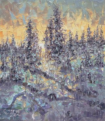 January dawn. Smirnov Sergey