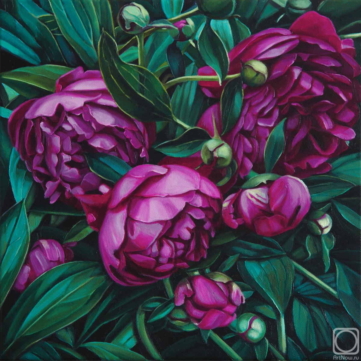 ������� ������ �� ������. ���������� ���������. ��������� �����