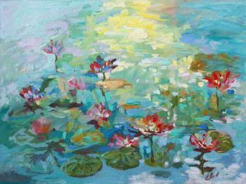 Солнечный пруд