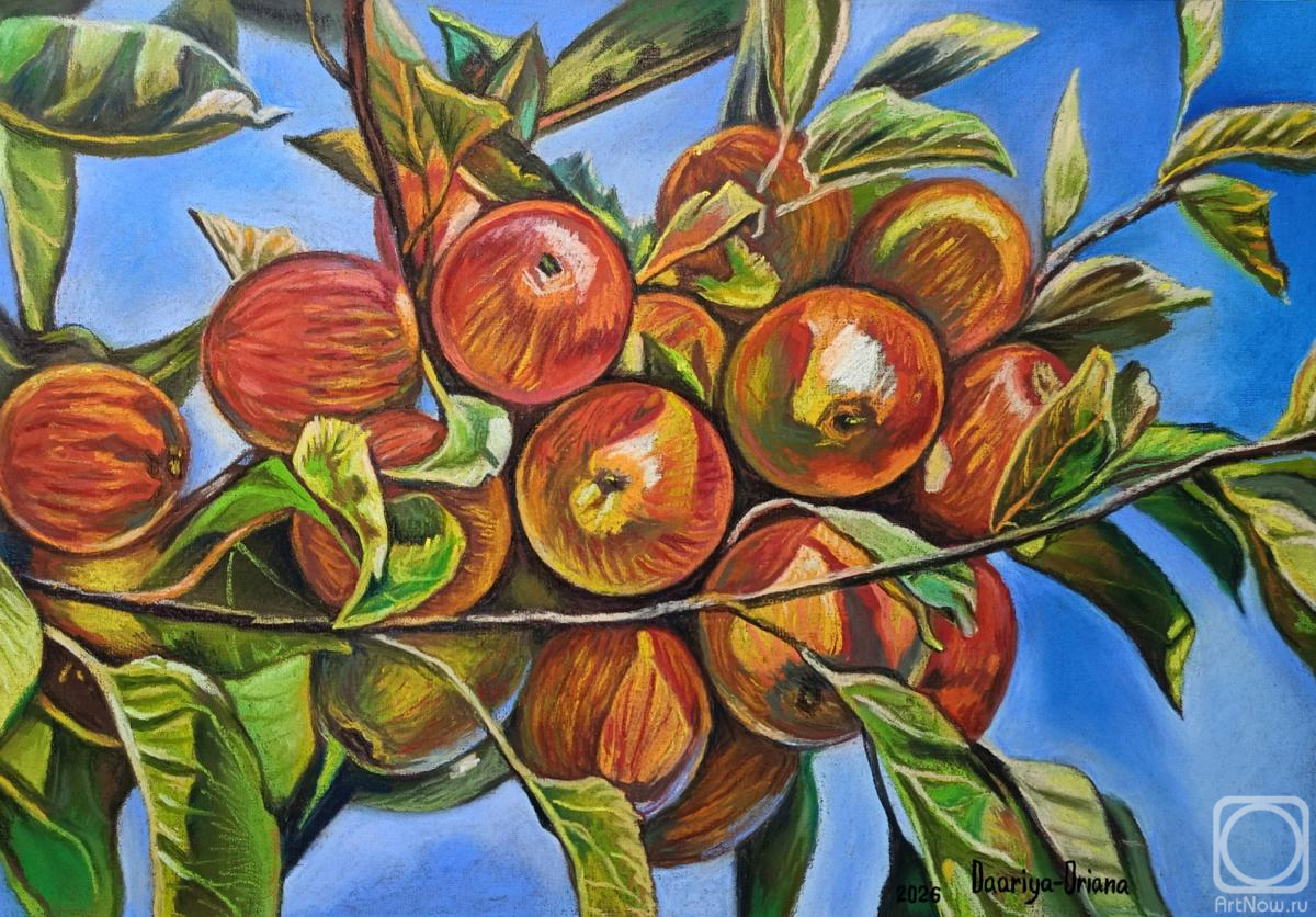 �������. �������� �����. ������ ������