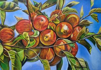 ������ ������. �������� �����