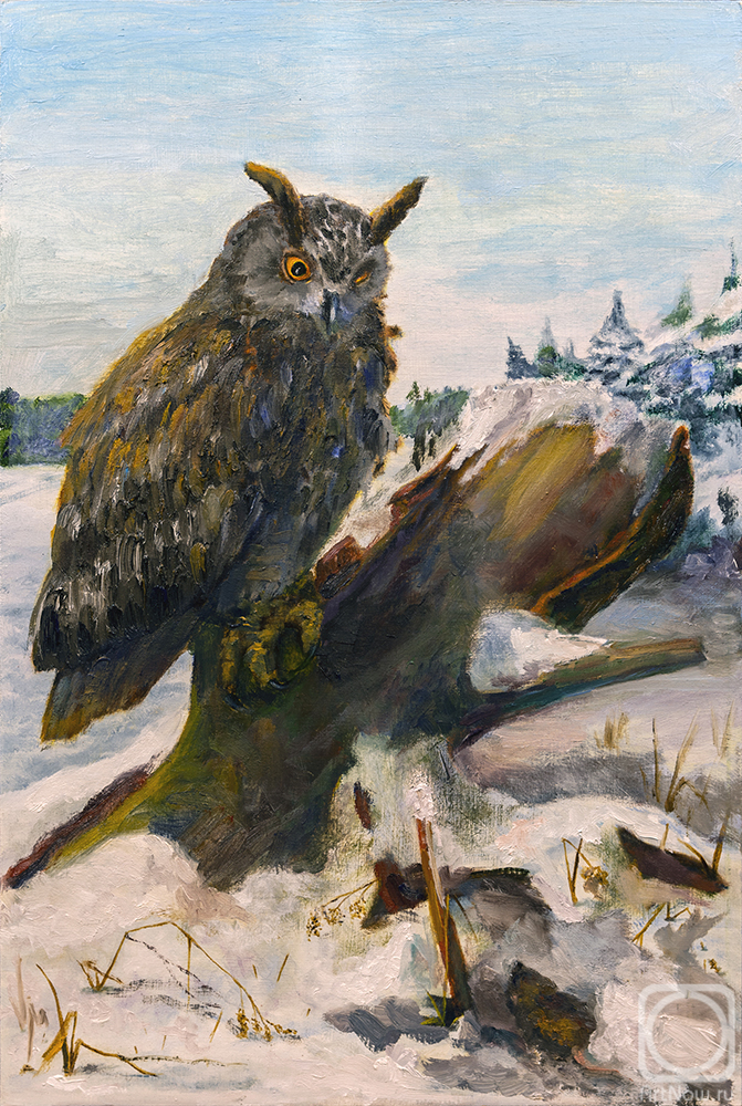 �������. ���������� �������. ������ ����