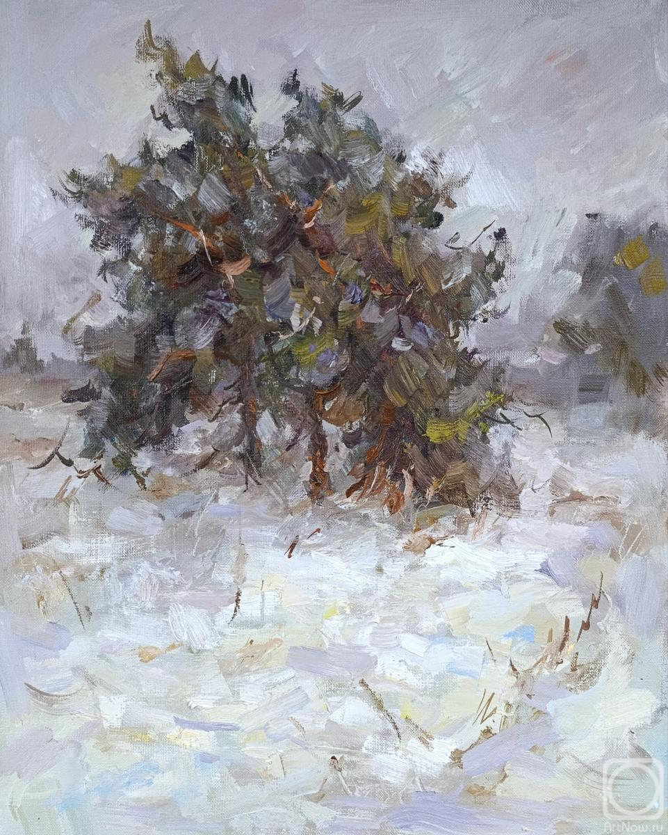 ������� ������ �� ������. ������ ����. ��� �����