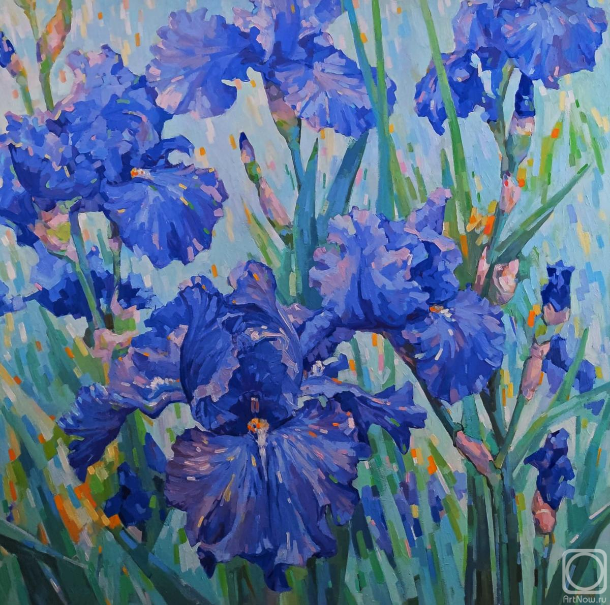 ������� ������ �� ������. ������ ��������. ����� ������ ����