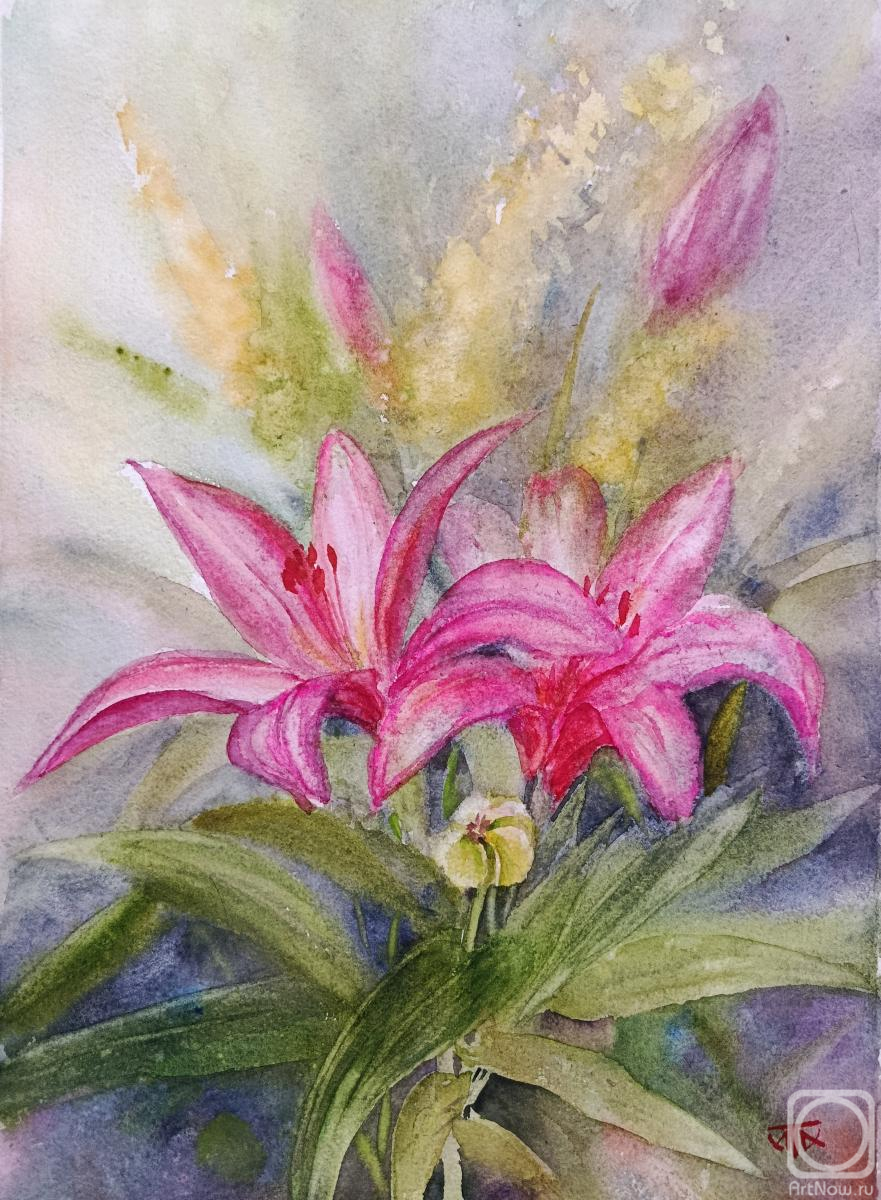 �������. �������� �����. �����