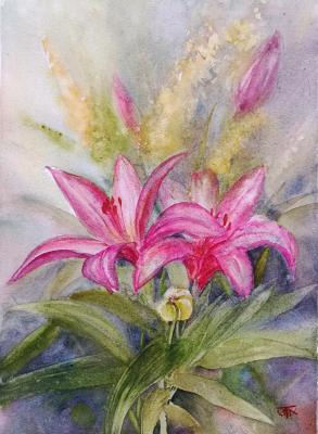 ����� (��������). �������� �����