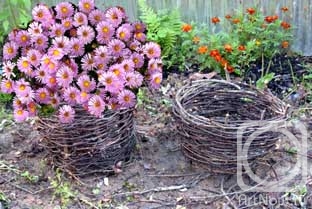 Karaceva Galina. Untitled