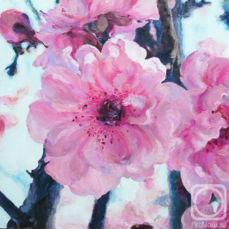 ������� ������ �� ������. ������������ ������. �������� �����