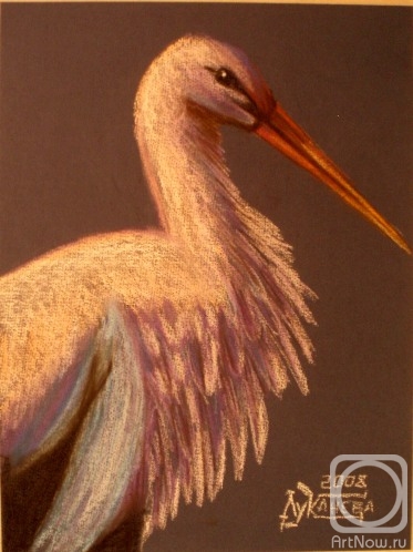 �������. �������� ������. ��������� �����