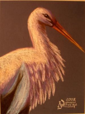 The Stork. Lukaneva Larissa