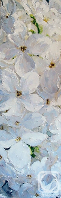 ������� ������ �� ������. ������������ ������. ������