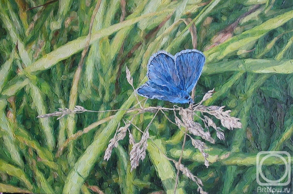 ������� ������ �� ������. ������������ ������. �������