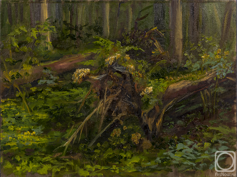 �������. ���������� �������. � ������ ���� (������)