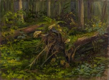 ������� �� ������ ���� (������)�