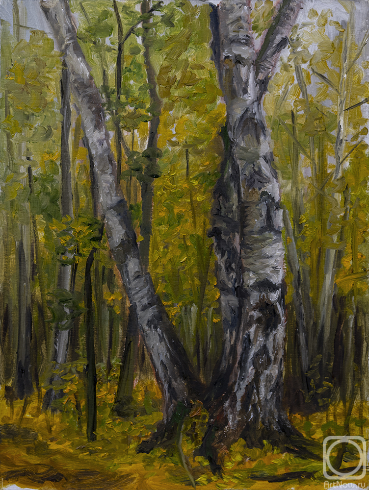 �������. ���������� �������. ��������� ����