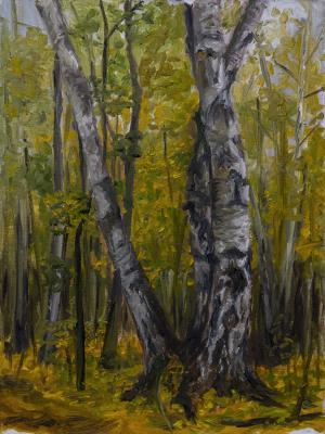 ������� ���������� ����