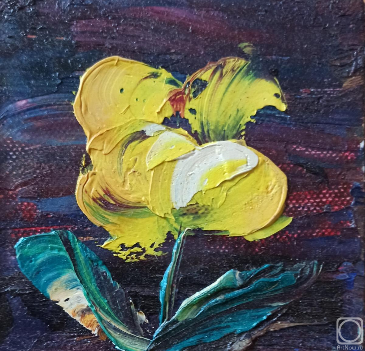 ������� ������ �� ������. ������ �������. �����