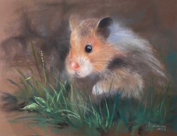 �����. �������� �������