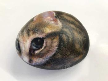 Gray-brown kitten. Davydov Igor