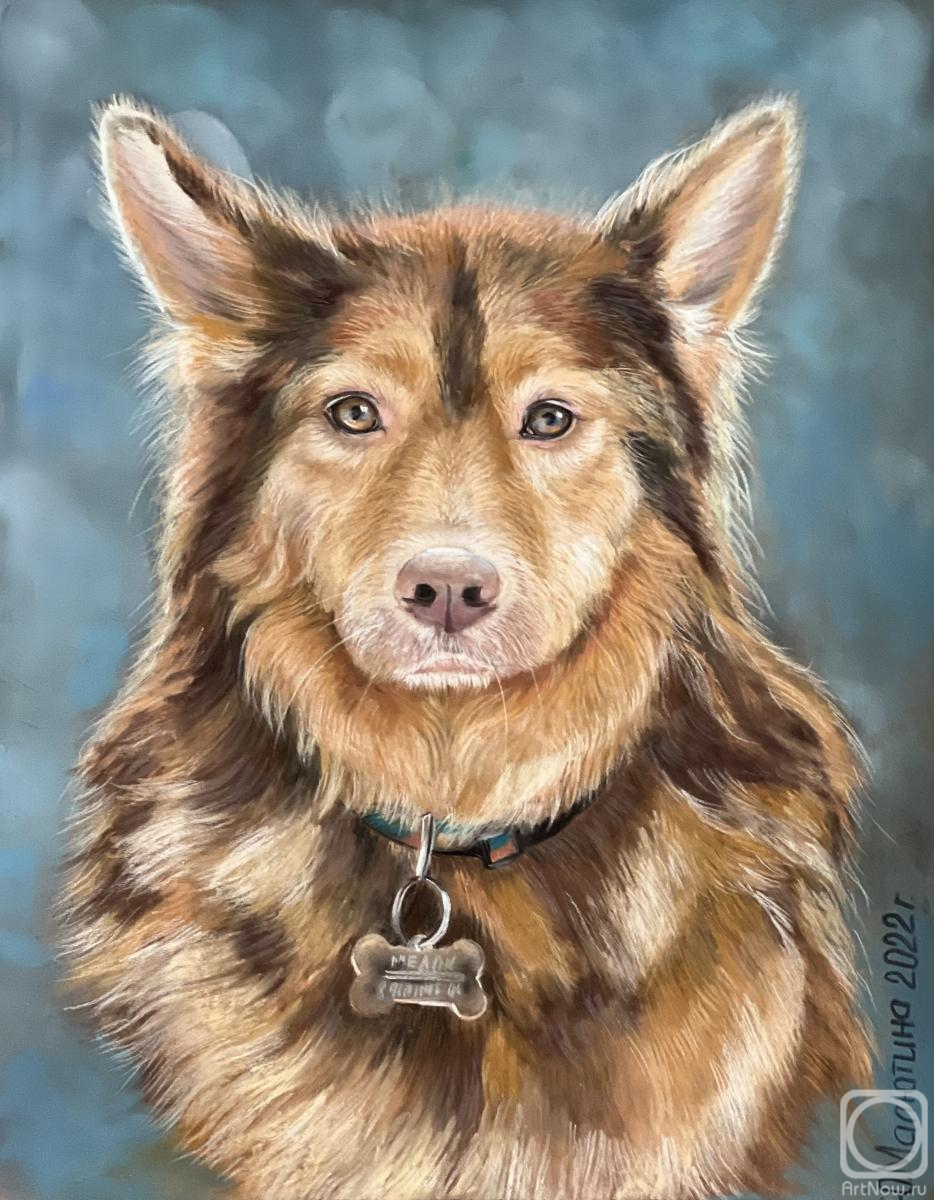 Malyutina Yuliya. Medok