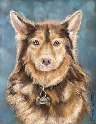 �����. �������� ����