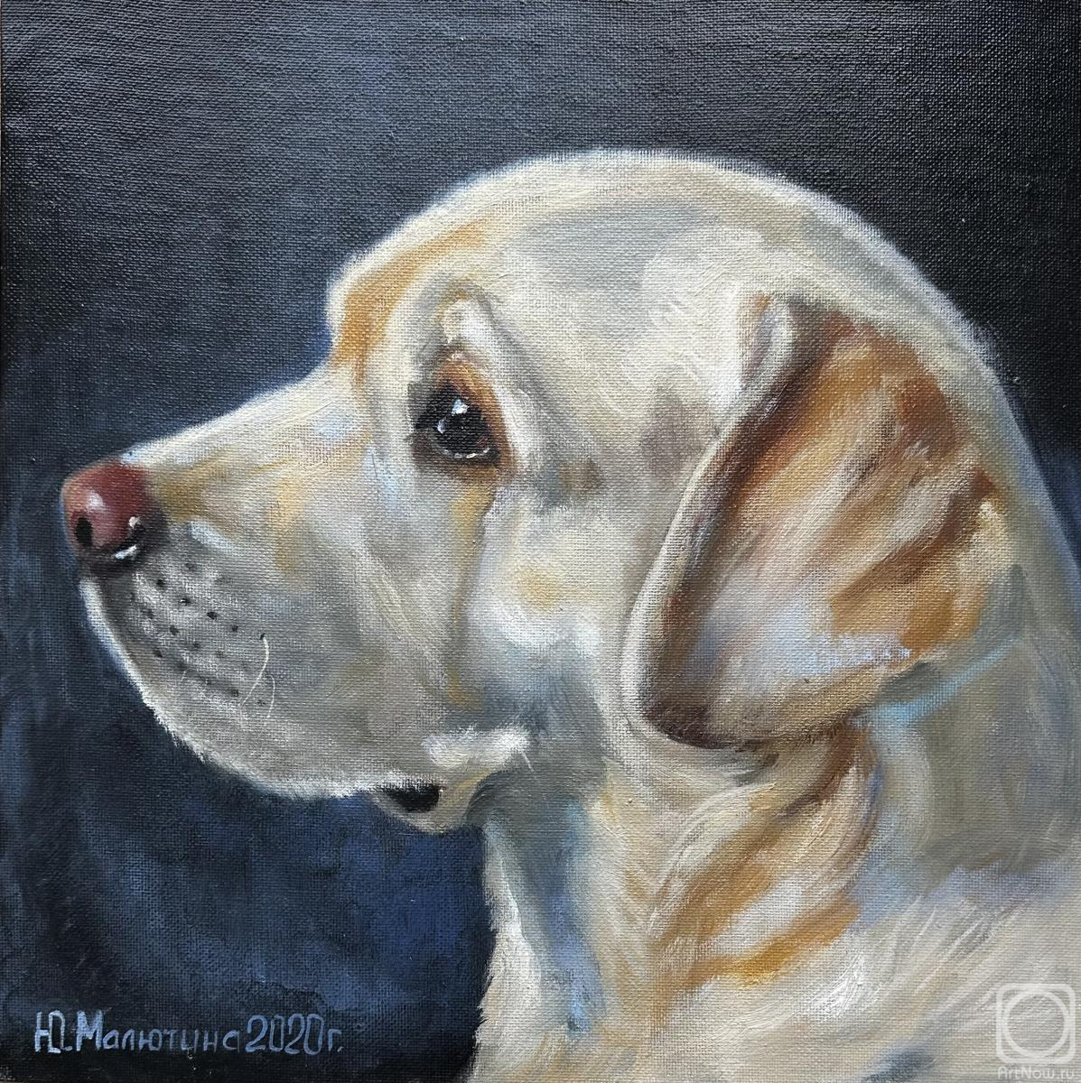 ������� ������ �� ������. �������� ����. ��������