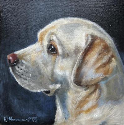 ��������. �������� ����