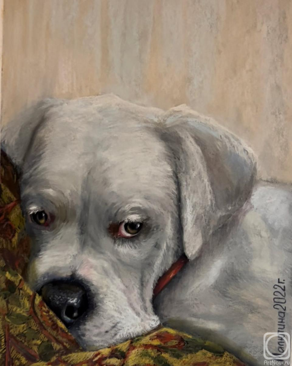 �������. �������� ����. �������