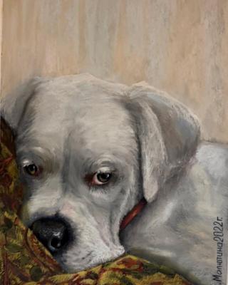 �������. �������� ����