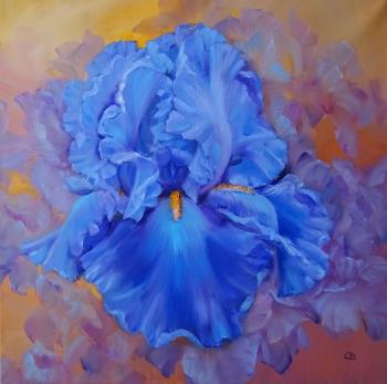 ������ ����� (����� �����). �������� ��������