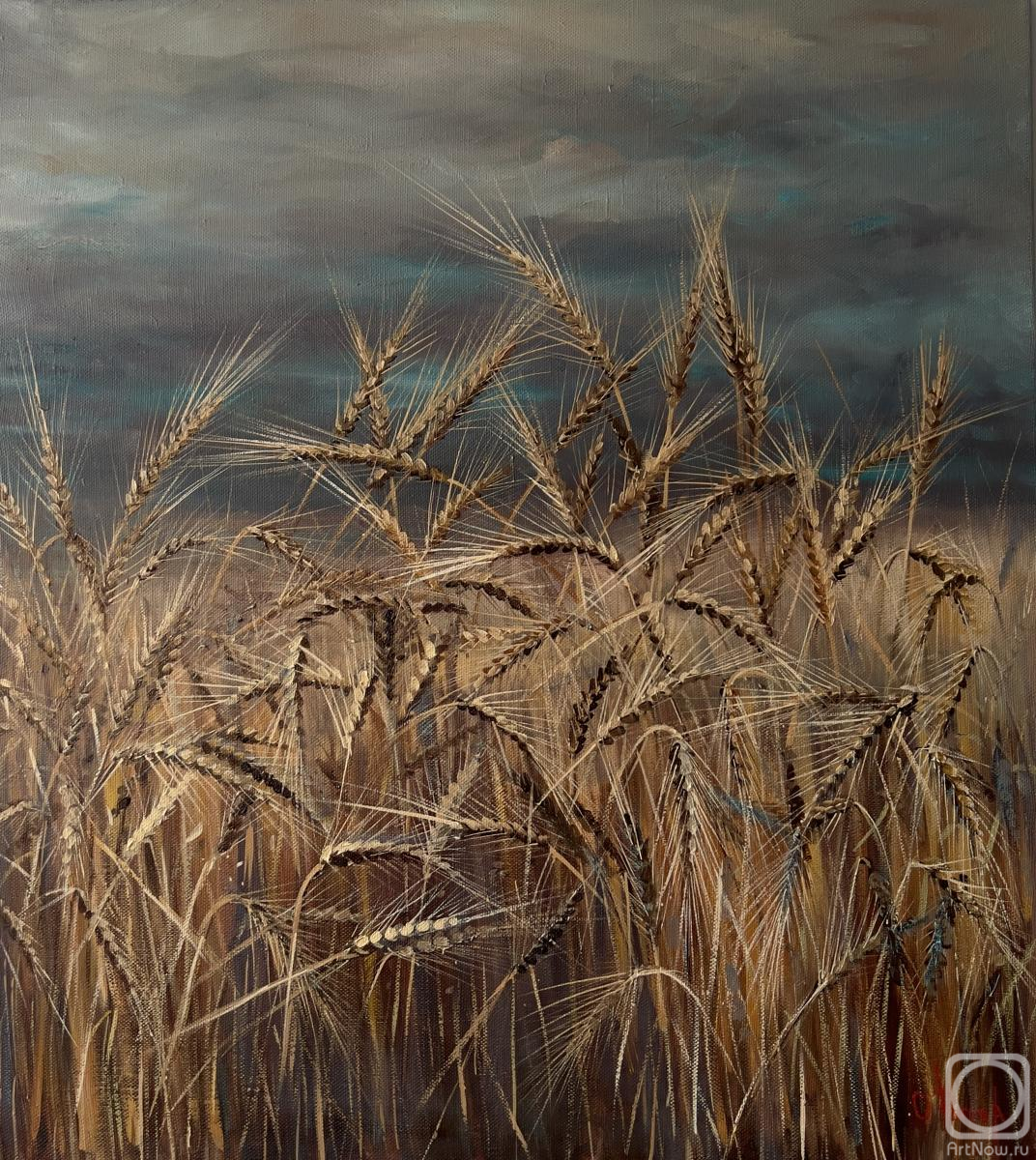 ������� ������ �� ������. ������ ������. ����� ������