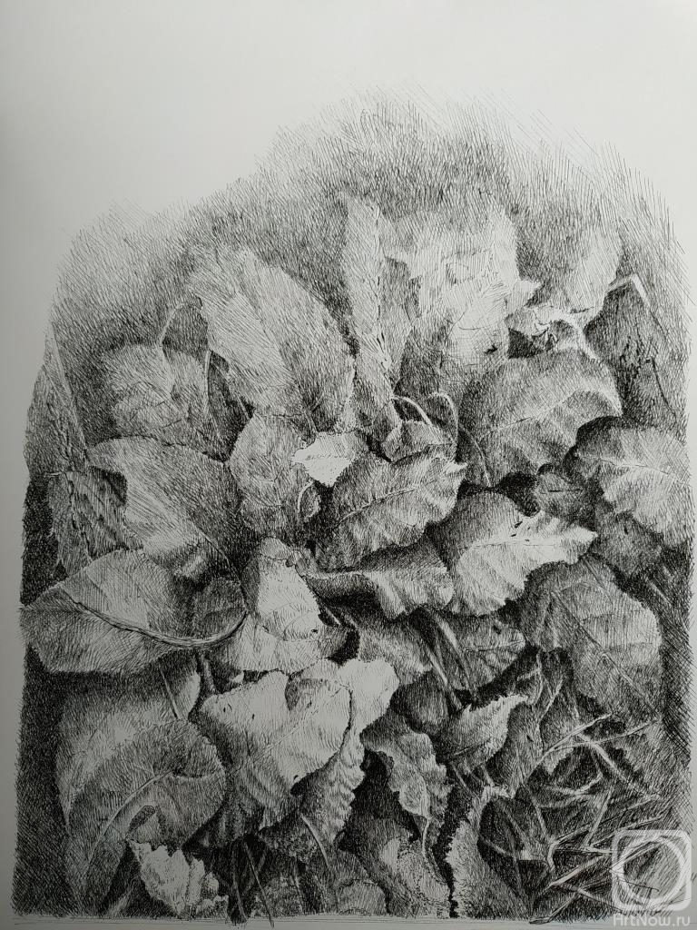 �������. ����������� ������. ������ ����