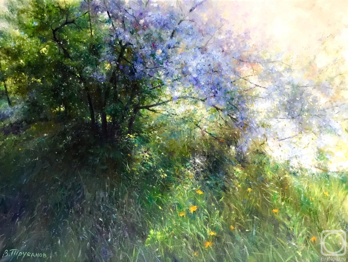 Trubanov Vitaly. Untitled