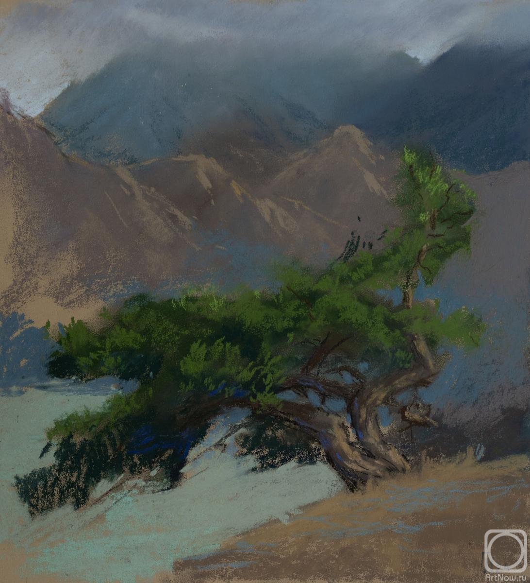 �������. ����� �����. ��� ������� ������