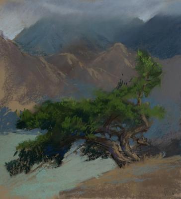 ��� ������� ������