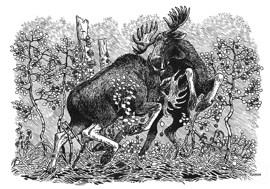 �������. ����� �������. ��������